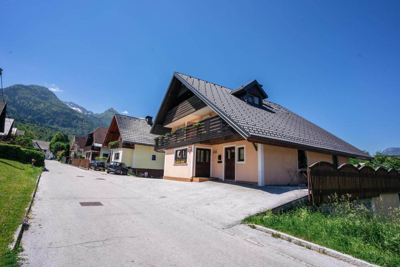 Apartmaji Alpski Cvet - Hisa Gorenc 博希尼 外观 照片