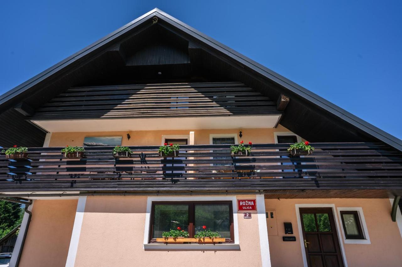 Apartmaji Alpski Cvet - Hisa Gorenc 博希尼 外观 照片