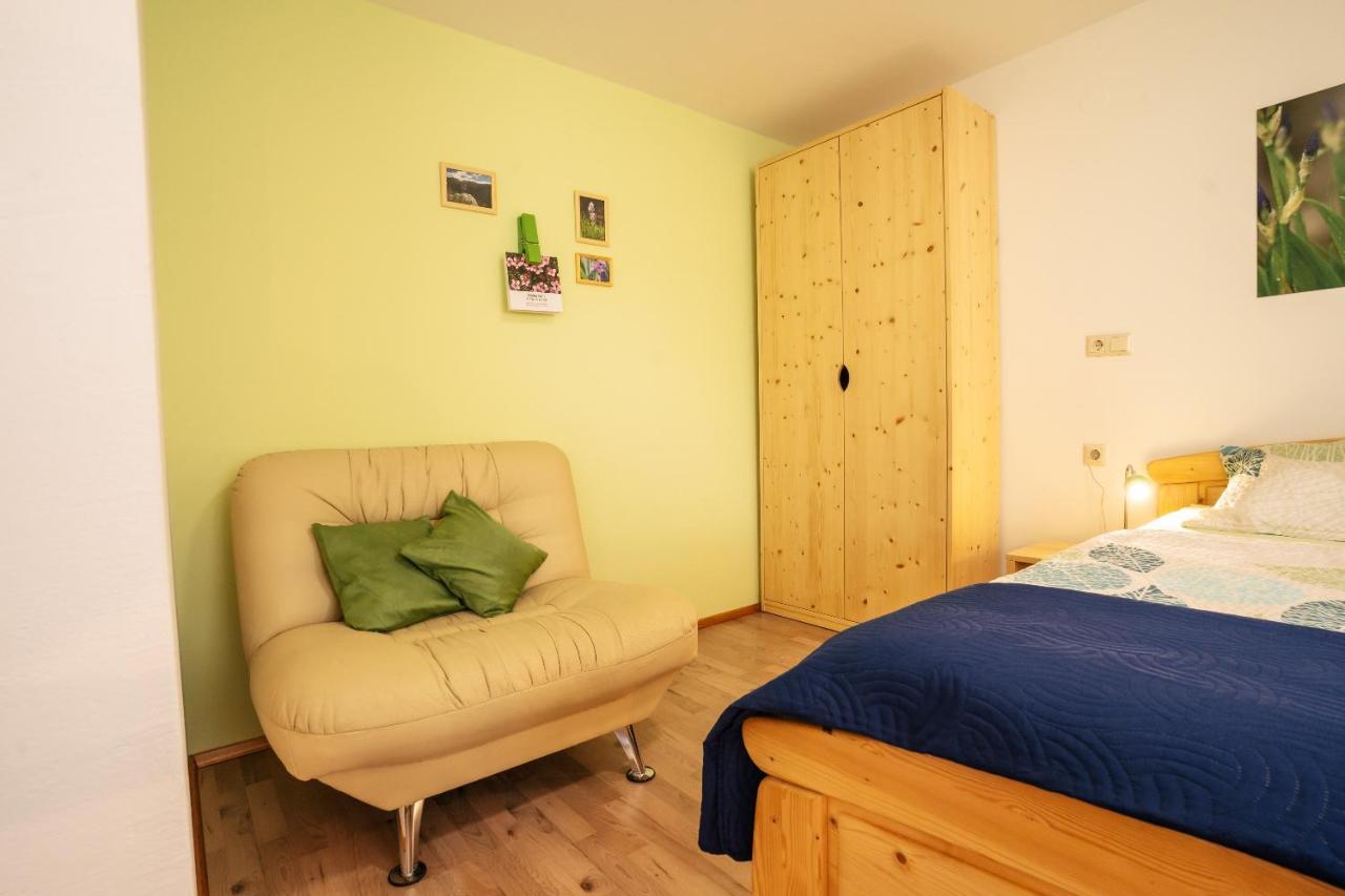 Apartmaji Alpski Cvet - Hisa Gorenc 博希尼 外观 照片