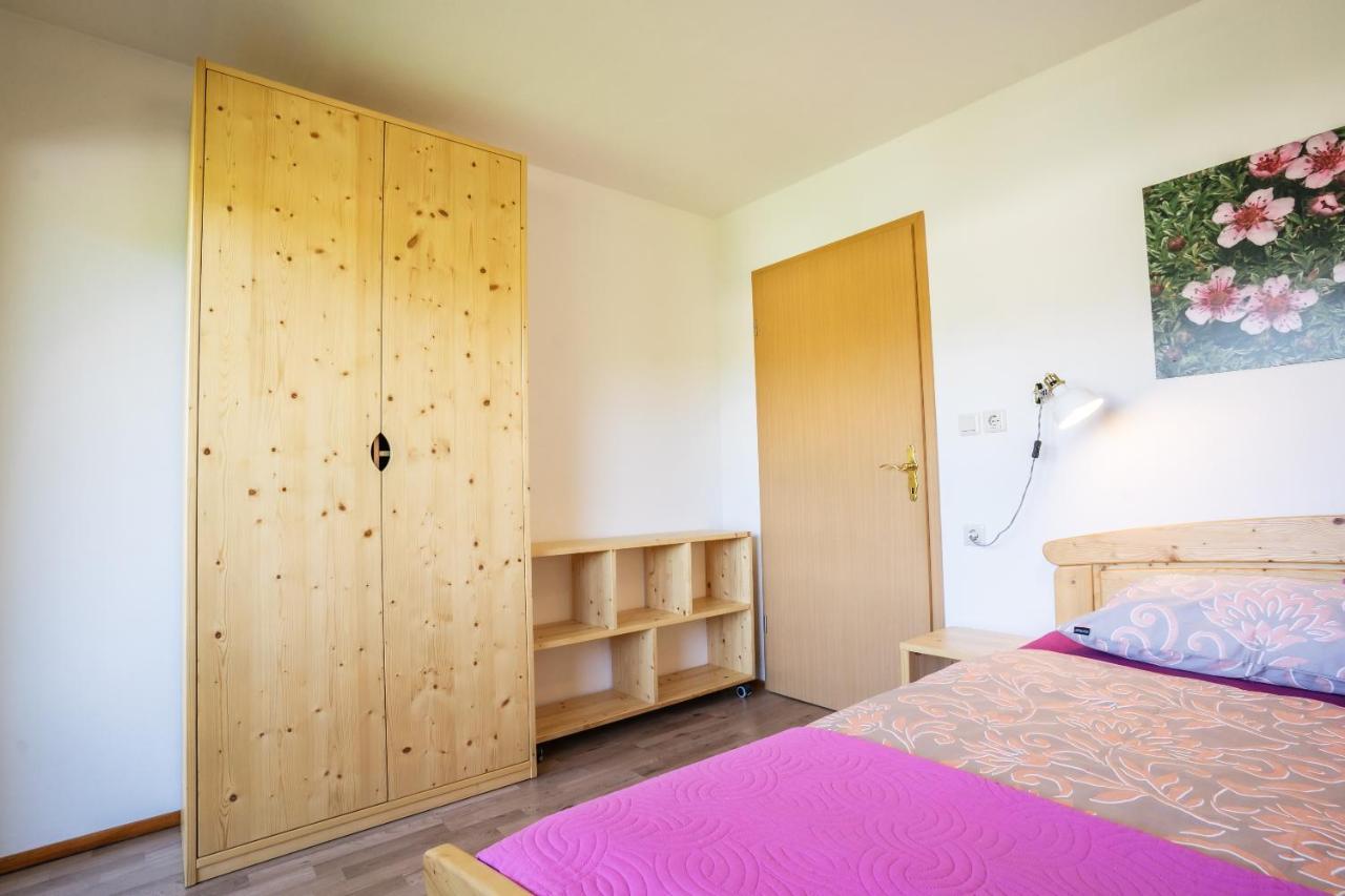 Apartmaji Alpski Cvet - Hisa Gorenc 博希尼 外观 照片