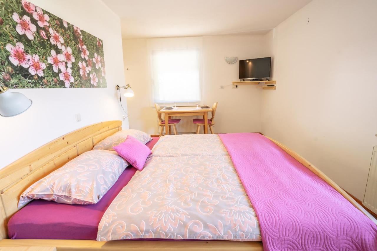 Apartmaji Alpski Cvet - Hisa Gorenc 博希尼 外观 照片