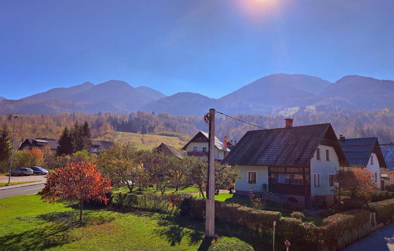 Apartmaji Alpski Cvet - Hisa Gorenc 博希尼 外观 照片
