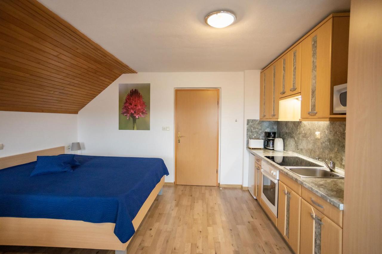 Apartmaji Alpski Cvet - Hisa Gorenc 博希尼 外观 照片