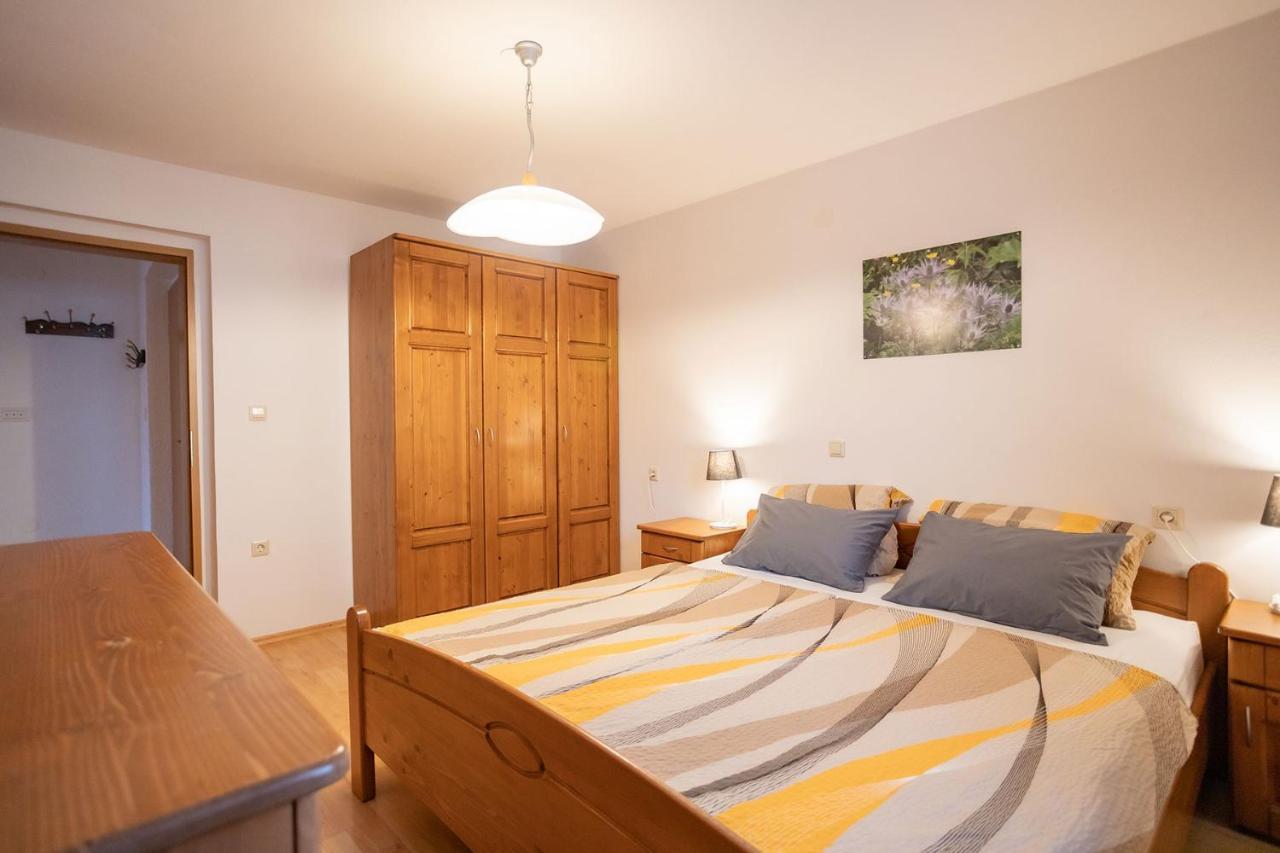 Apartmaji Alpski Cvet - Hisa Gorenc 博希尼 外观 照片