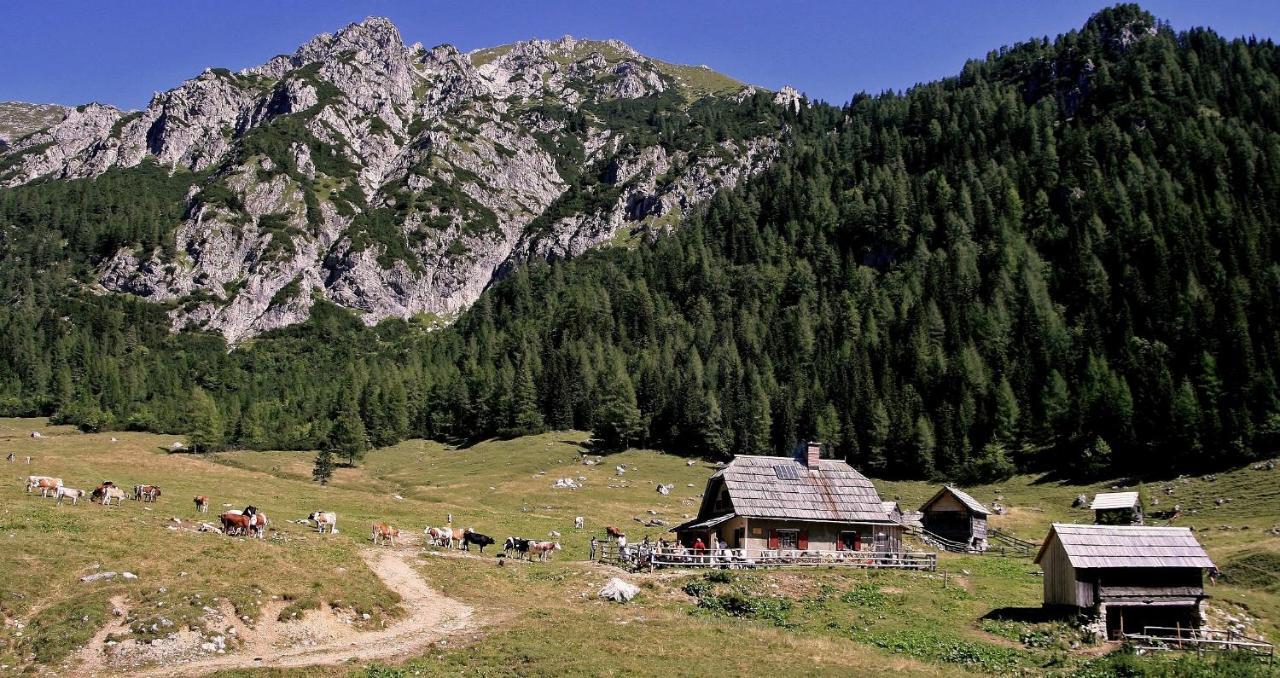 Apartmaji Alpski Cvet - Hisa Gorenc 博希尼 外观 照片