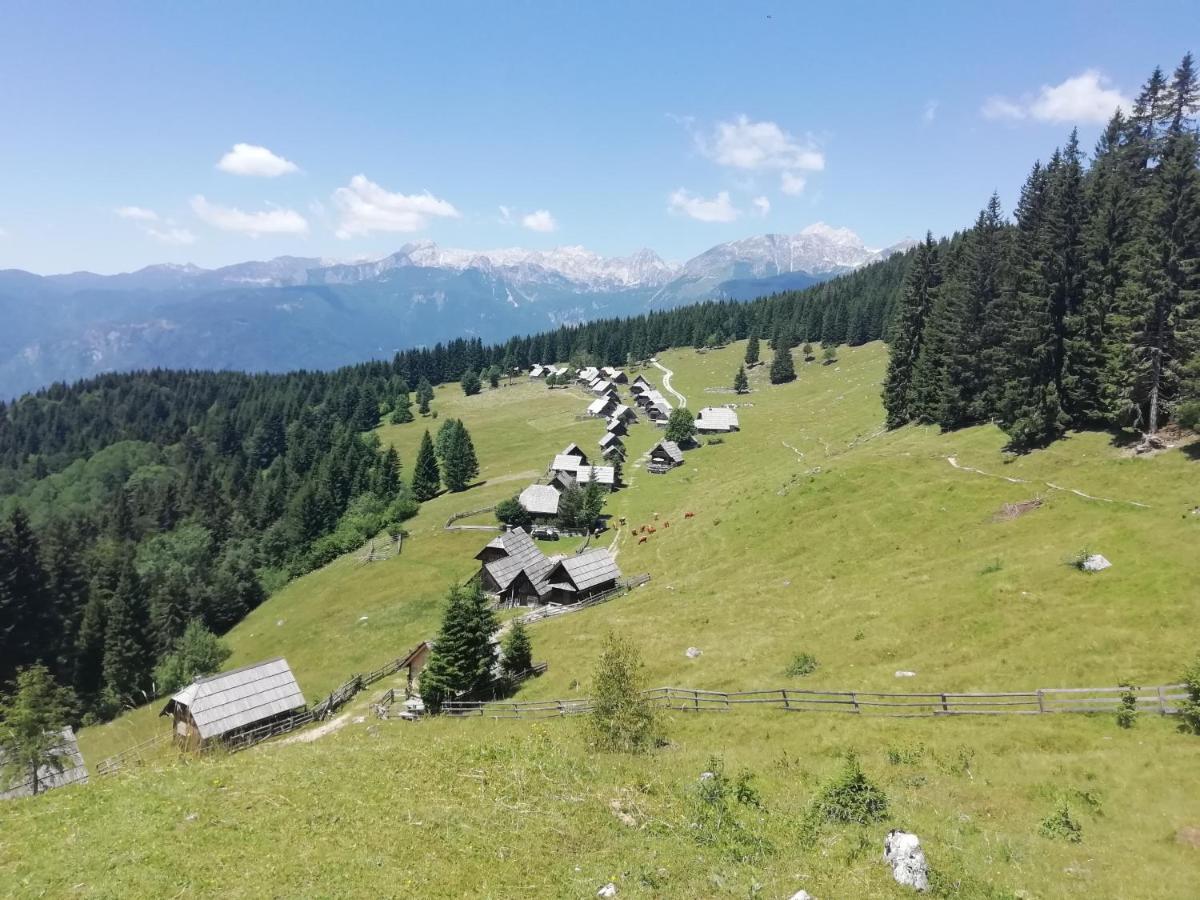 Apartmaji Alpski Cvet - Hisa Gorenc 博希尼 外观 照片